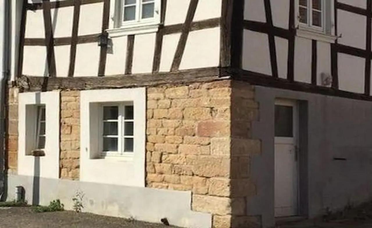 Petit Studio Pour Une Personne A Lobsann Exterior photo